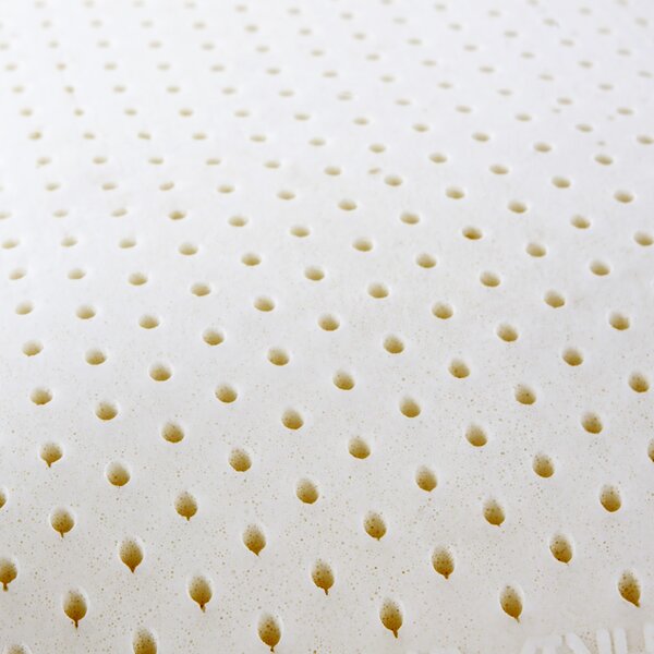 I AM Talalay Latex Medium Pillow & Reviews Wayfair